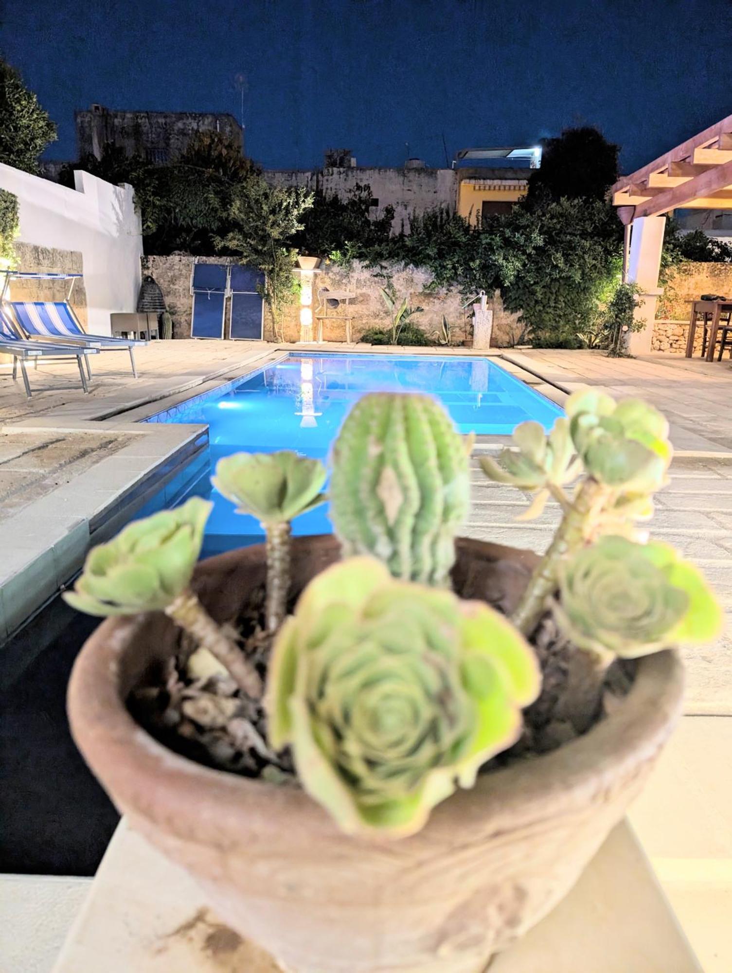 The Art Of Leo Bed & Breakfast Lucugnano Dış mekan fotoğraf